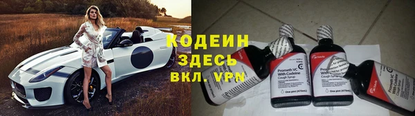 шишки Балахна