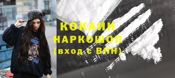 шишки Балахна