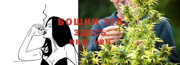 шишки Балахна