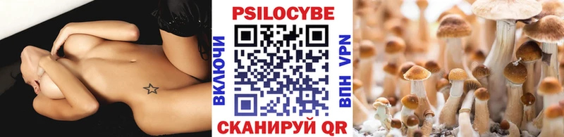 Псилоцибиновые грибы GOLDEN TEACHER  купить   Нолинск 